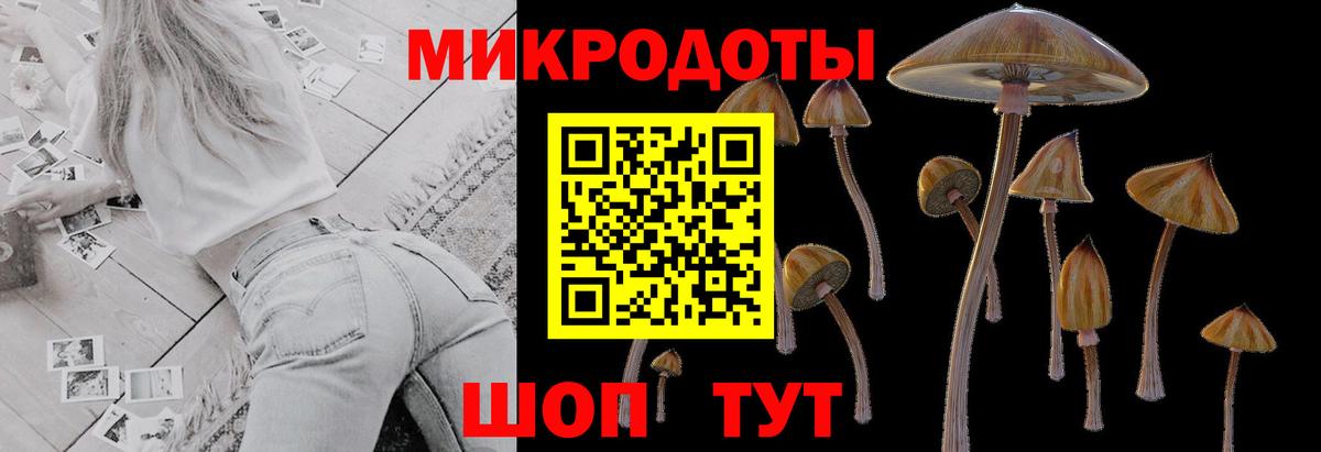 цены наркотик  Вход с VPN  Тула  Галлюциногенные грибы мухоморы  Псилоцибиновые грибы Cubensis 