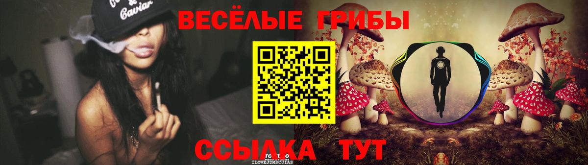 Псилоцибиновые грибы MAGIC MUSHROOMS Тула